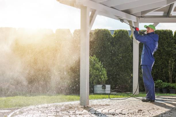 Best Soft Washing  in Dearborn, MI