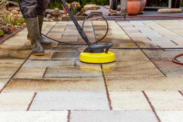 Best Pre-Holiday Cleaning  in Dearborn, MI